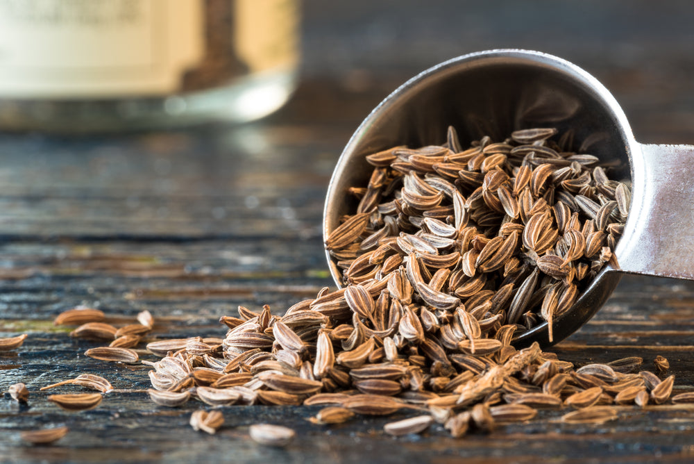 Caraway Seeds| Shahi Jeera | शाही जिरा